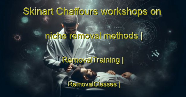 Skinart Chaffours workshops on niche removal methods | RemovalTraining | RemovalClasses | SkinartTraining-Belgium